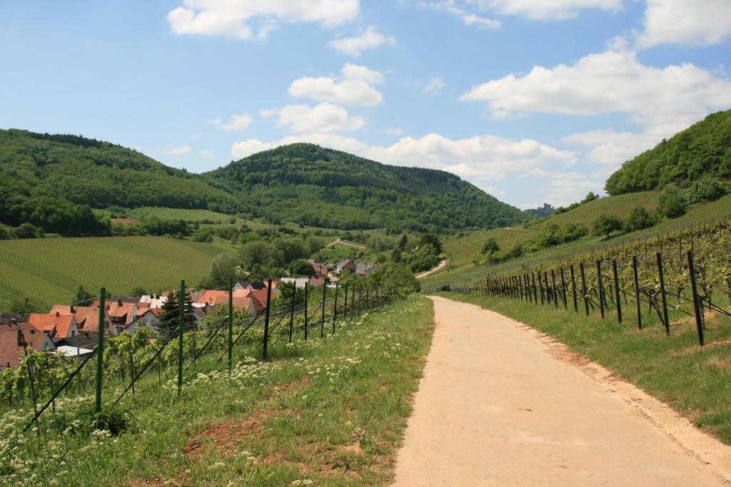 Pimer * Ranschbach
